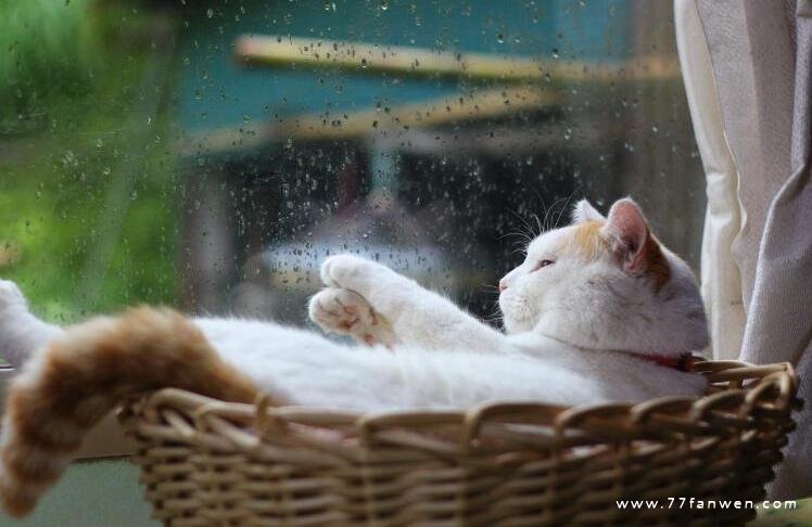 下雨不回家的说说心