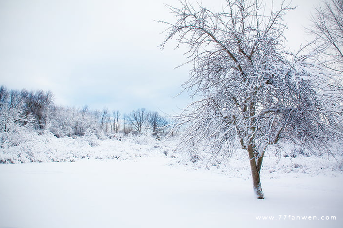 真正的朋友是雪中送炭的经典语录