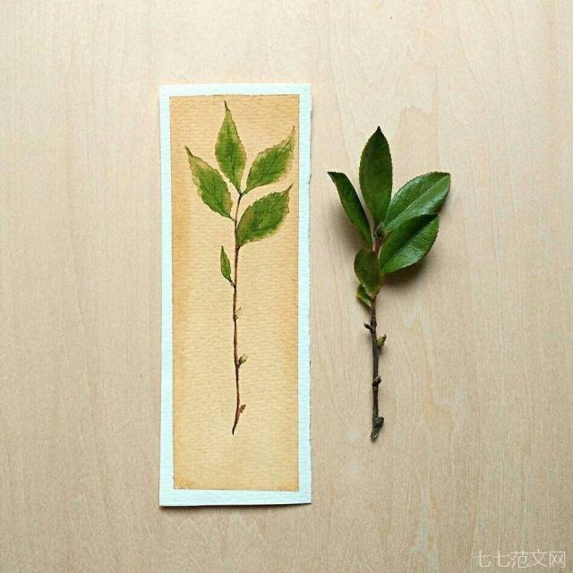 人生百味经典句子