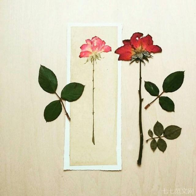 人生百味经典句子