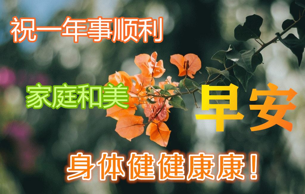 简短正能量的早安说说