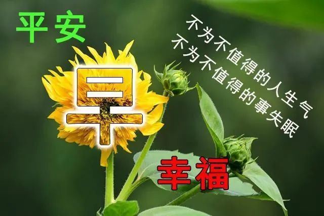 朋友圈说说正能量短语_朋友圈表达正能量的一段话