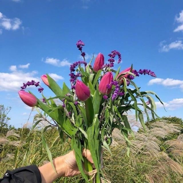 阳光明媚的句子发朋友圈的_发朋友圈早安阳光的句子